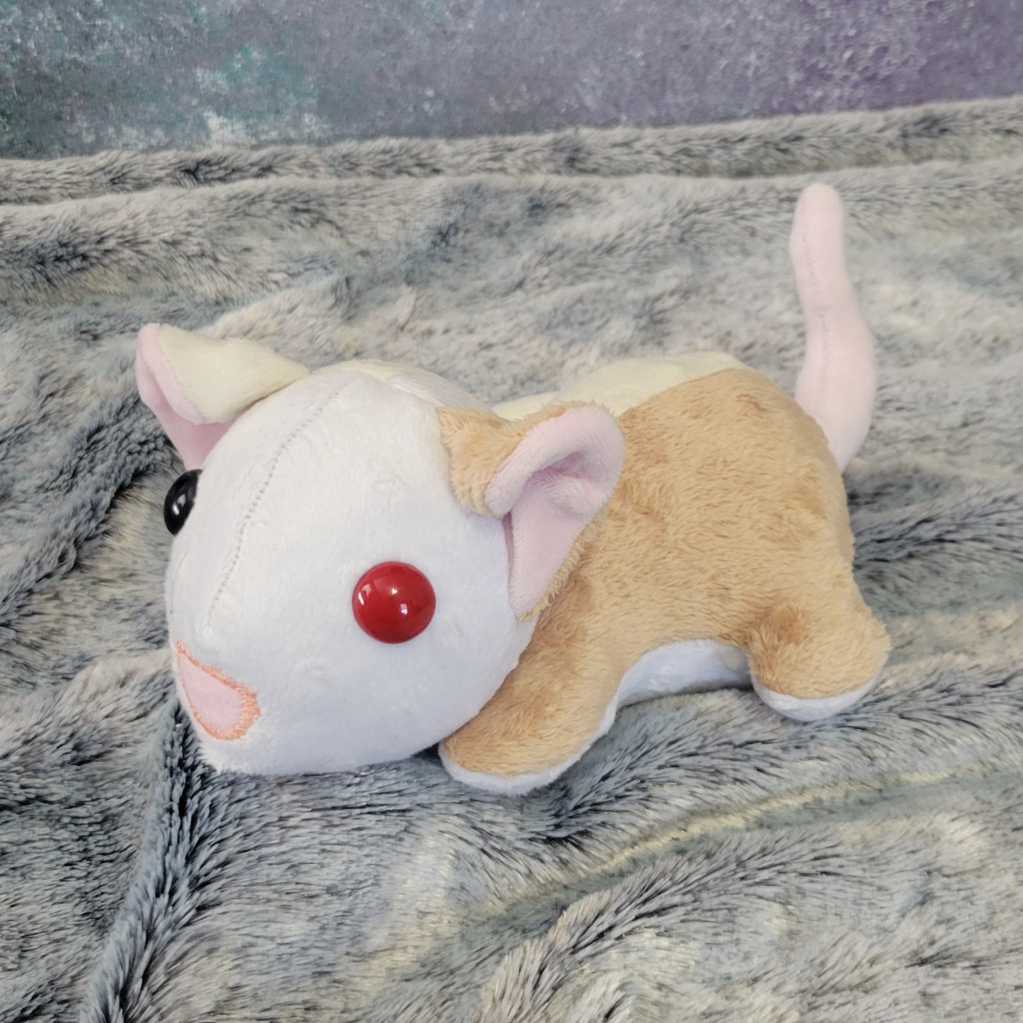 Light Tans Piebald Rat with Odd Eyes