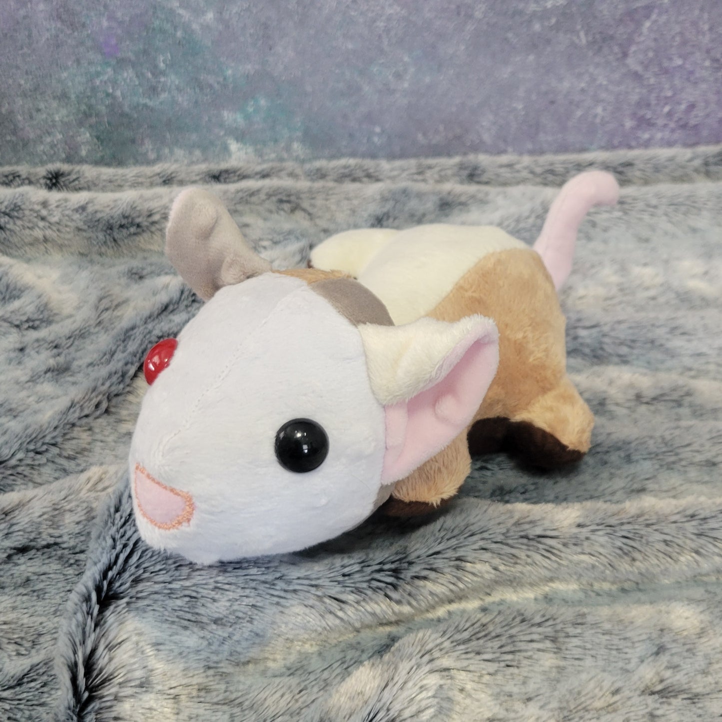 Dark Tans Piebald Rat with Odd eyes